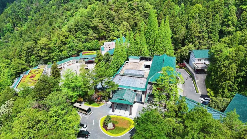 1764728356413105.png image.png